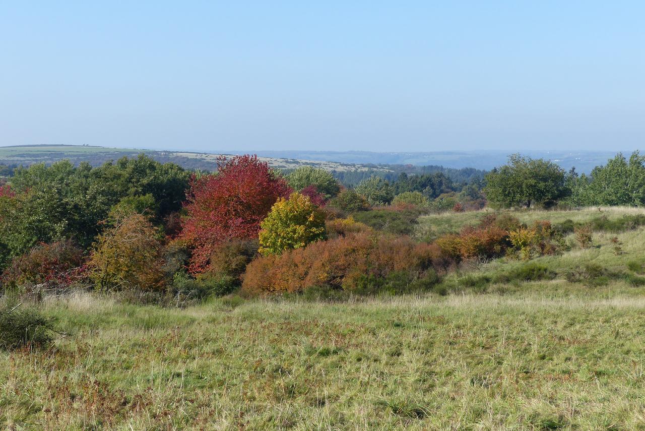 Chalets Am National Park Eifel Βίλα Schleiden Εξωτερικό φωτογραφία