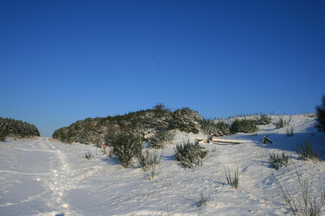 Chalets Am National Park Eifel Βίλα Schleiden Εξωτερικό φωτογραφία