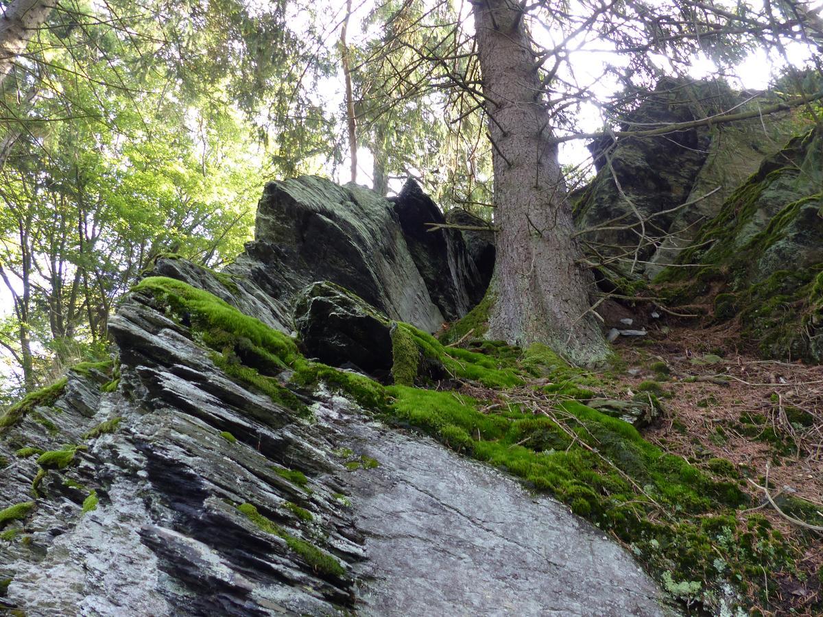 Chalets Am National Park Eifel Βίλα Schleiden Εξωτερικό φωτογραφία